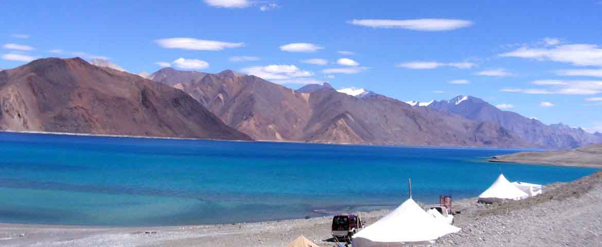 ladakh trekking in himalaya