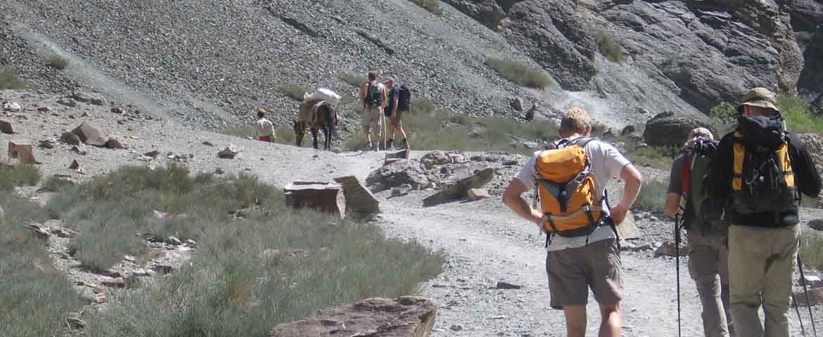 trekking india himalaya