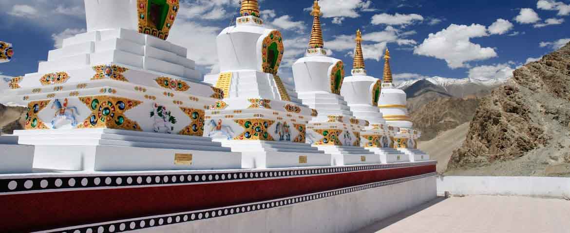 ladakh trekking tour