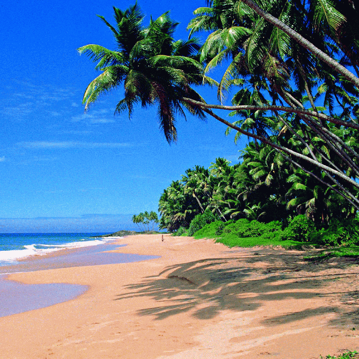 Goa with South India