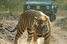 Chitwan National Park Tour