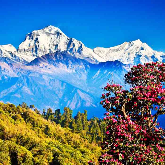 Hills and Himalayas in Nepal