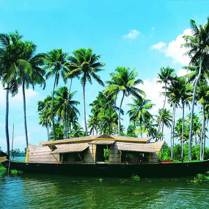 Goa Mumbai with South India