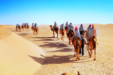 Camel Safari in India