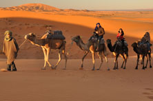 Camel Safari in Jaisalmer