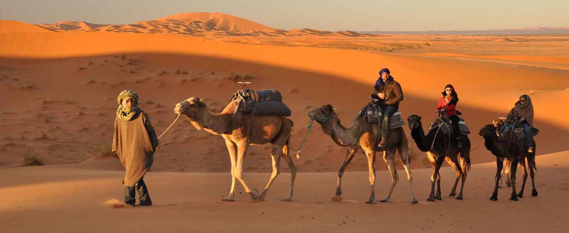 Camel Safari in Jaisalmer