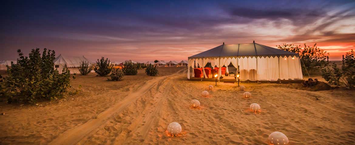 Safari Camp in Jaisalmer